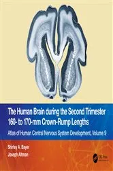 Book cover of The Human Brain during the Second Trimester 160– to 170–mm Crown-Rump Lengths by Shirley A. Bayer