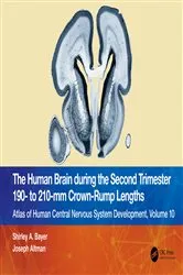 Book cover of The Human Brain during the Second Trimester 190– to 210–mm Crown-Rump Lengths by Shirley A. Bayer