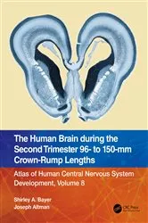 Book cover of The Human Brain during the Second Trimester 96– to 150–mm Crown-Rump Lengths by Shirley A. Bayer