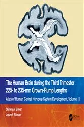 Book cover of The Human Brain during the Third Trimester 225– to 235–mm Crown-Rump Lengths by Shirley A. Bayer