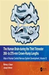 Book cover of The Human Brain during the Third Trimester 260– to 270–mm Crown-Rump Lengths by Shirley A. Bayer