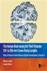 Book cover of The Human Brain during the Third Trimester 310– to 350–mm Crown-Rump Lengths by Shirley A. Bayer