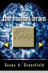 Book cover of The Human Brain by Miguel Marín-Padilla