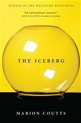 Book cover of The Iceberg by Unknown
