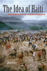 Book cover of The Idea of Haiti by Millery Polyné