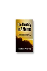 Book cover of The Identity in A Name by Temitope Akerele