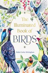 Book cover of The Illuminated Book of Birds by Robin Crofut-Brittingham