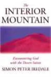 Book cover of The Interior Mountain by Simon Peter Iredale