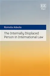 Book cover of The Internally Displaced Person in International Law by Romola Adeola