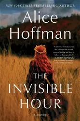Book cover of The Invisible Hour by Unknown