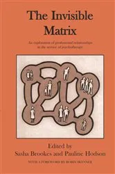 Book cover of The Invisible Matrix by Sasha Brookes