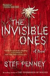 Book cover of The Invisible Ones by Stef Penney