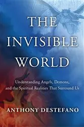 Book cover of The Invisible World by Anthony DeStefano