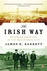 Book cover of The Irish Way by James R. Barrett