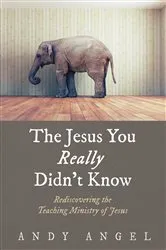 Book cover of The Jesus You Really Didn’t Know by Andy Angel
