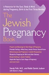 Book cover of The Jewish Pregnancy Book by Sandy Falk