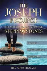 Book cover of The Joseph Project by Rev. Norm Stewart