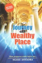 Book cover of THE JOURNEY INTO THE WEALTHY PLACE by Ngozi Anyaora