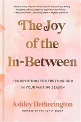 Book cover of The Joy of the In-Between by Ashley Hetherington