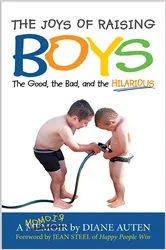 Book cover of The Joys of Raising Boys by Diane Auten