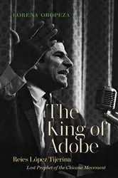 Book cover of The King of Adobe by Lorena Oropeza