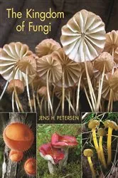 Book cover of The Kingdom of Fungi by Jens Henrik Petersen