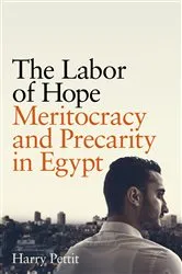 Book cover of The Labor of Hope by Harry Pettit