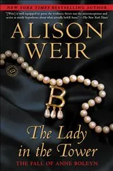 Book cover of The Lady in the Tower by Unknown