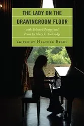 Book cover of The Lady on the Drawingroom Floor by Heather Braun