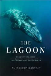 Book cover of The Lagoon by James Michael Dorsey