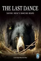 Book cover of The Last Dance by Ed McBain