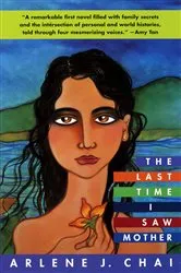 Book cover of The Last Time I Saw Mother by Arlene J. Chai