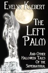 Book cover of The Left Palm by Evelyn Klebert