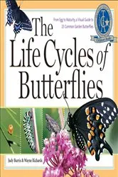 Book cover of The Life Cycles of Butterflies by Judy Burris