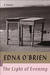 Book cover of The Light of Evening by Edna O'Brien