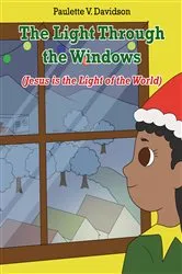 Book cover of The Light Through the Windows by Paulette V. Davidson