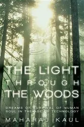 Book cover of The Light Through the Woods by Maharaj Kaul