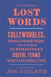 Book cover of The Little Book of Lost Words by Joe Gillard