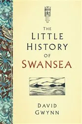 Book cover of The Little History of Swansea by David Gwynn