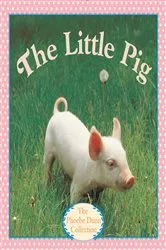 Book cover of The Little Pig by Judy Dunn