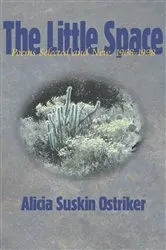 Book cover of The Little Space by Alicia Suskin Ostriker