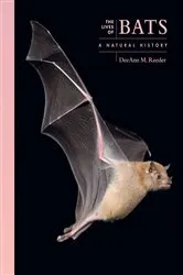 Book cover of The Lives of Bats by DeeAnn M. Reeder