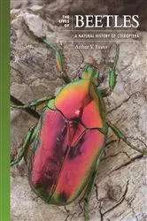Book cover of The Lives of Beetles by Arthur V. Evans