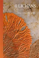 Book cover of The Lives of Lichens by Robert Lücking
