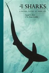 Book cover of The Lives of Sharks by Daniel Abel