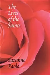 Book cover of The Lives of the Saints by Sebastian Barry