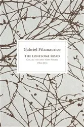 Book cover of The Lonesome Road by Gabriel Fitzmaurice