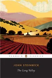 Book cover of The Long Valley by Unknown