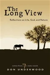Book cover of The Long View by Susan Palwick