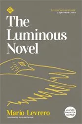 Book cover of The Luminous Novel by Mario Levrero
